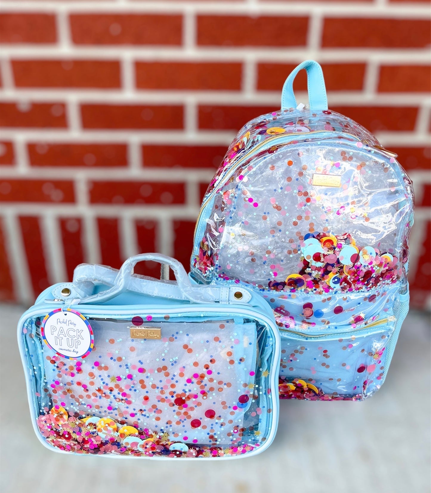 Celebrate Every Day - Confetti Clear Backpack