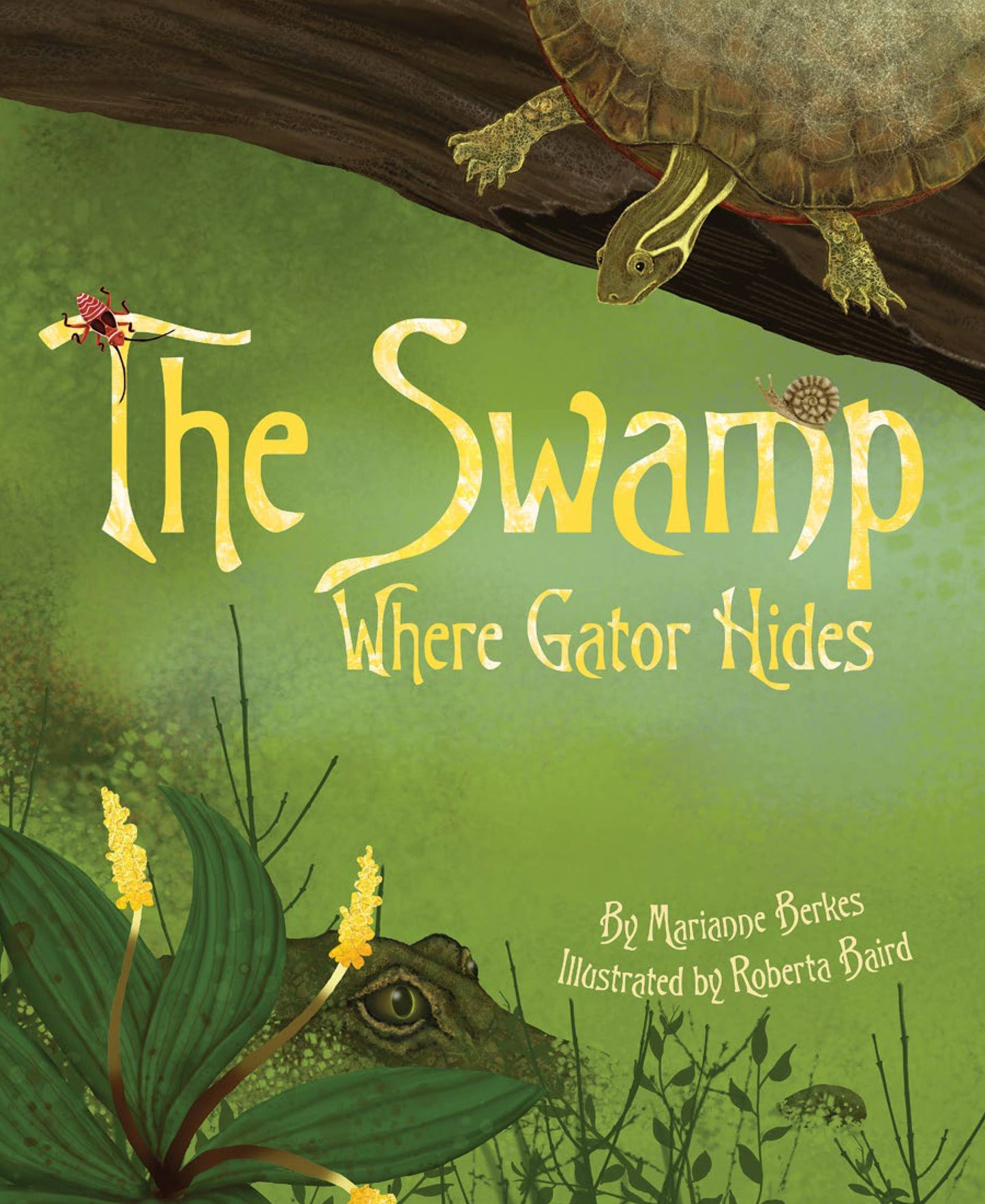 Swamp Where Gator Hides (Hardcover)